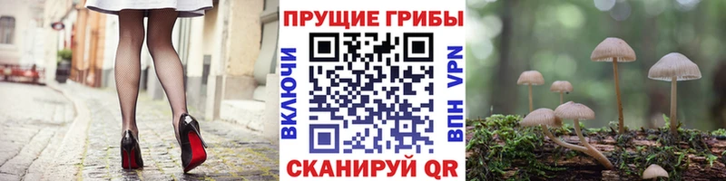 Псилоцибиновые грибы Psilocybine cubensis Радужный